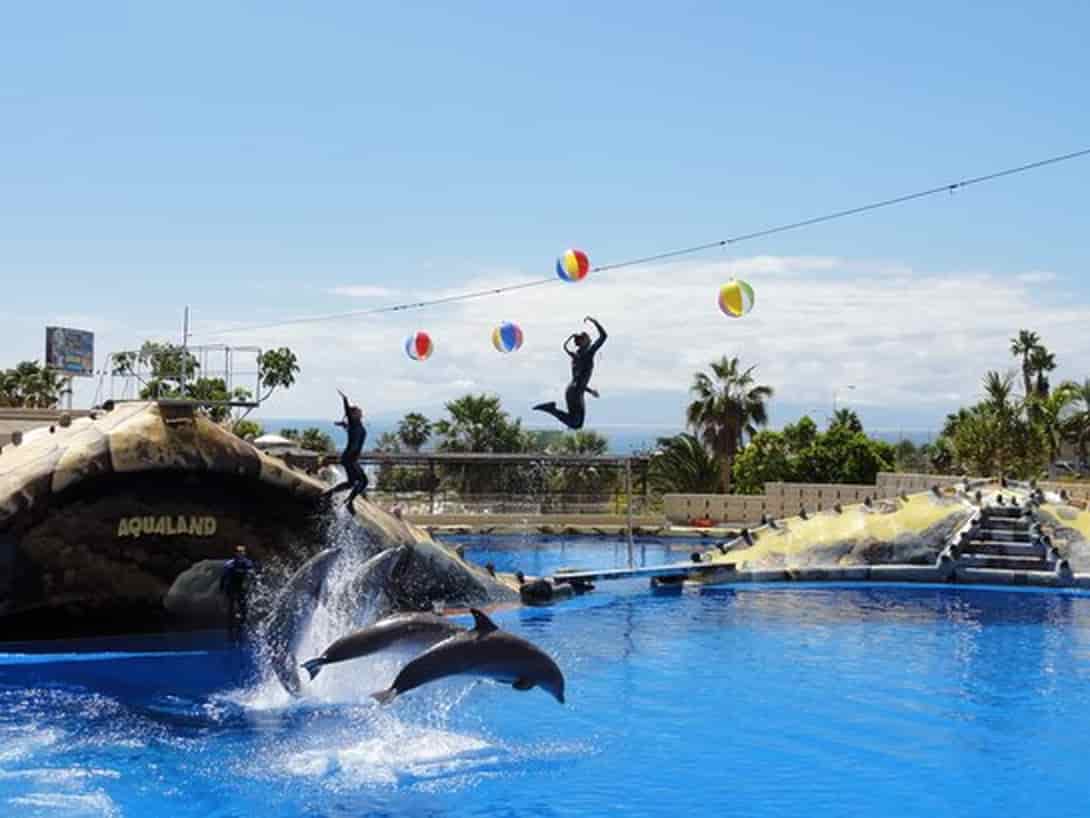 Aqualand Yunus Gösterisi Turu